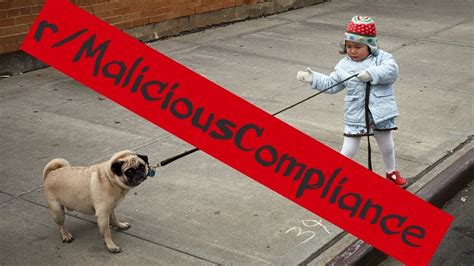 My Malicious Compliance story. . R maliciouscompliance